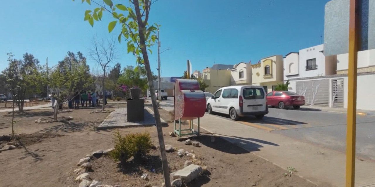 Realiza Saltillo intensa jornada de reforestación en Portal de Agaves