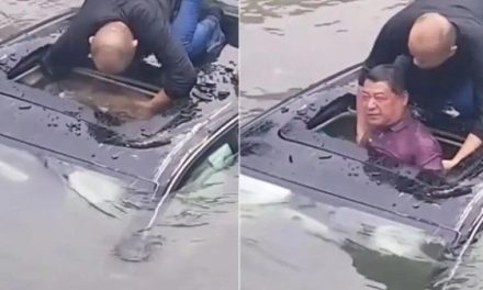 ¡Héroe sin capa! Ciudadano rescata a conductor atrapado en un auto en China
