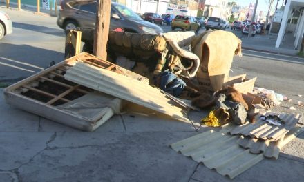 Retiran basura de la vía pública en Saltillo