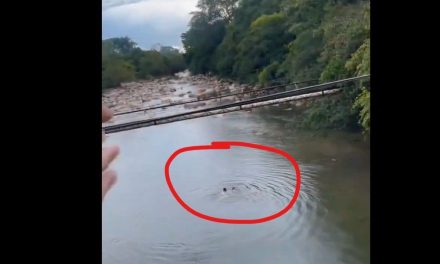 Video: Comunidad salva a bañistas de creciente súbita en río de Colombia