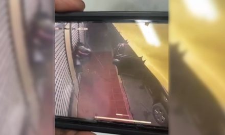 Roban comercio en Parras… ladrones quedan grabados