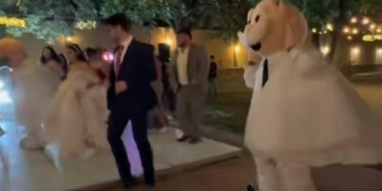 Video: Boda de Ciudad Juárez se hace viral en TikTok por tener dos botargas del Dr. Simi