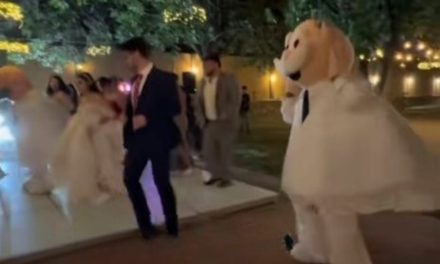 Video: Boda de Ciudad Juárez se hace viral en TikTok por tener dos botargas del Dr. Simi