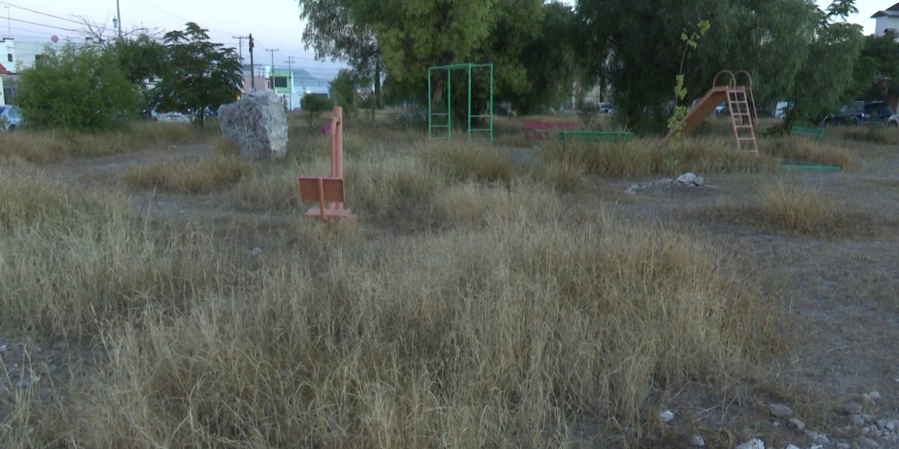 Solicitan atención a las plazas de la colonia Privada La Torre