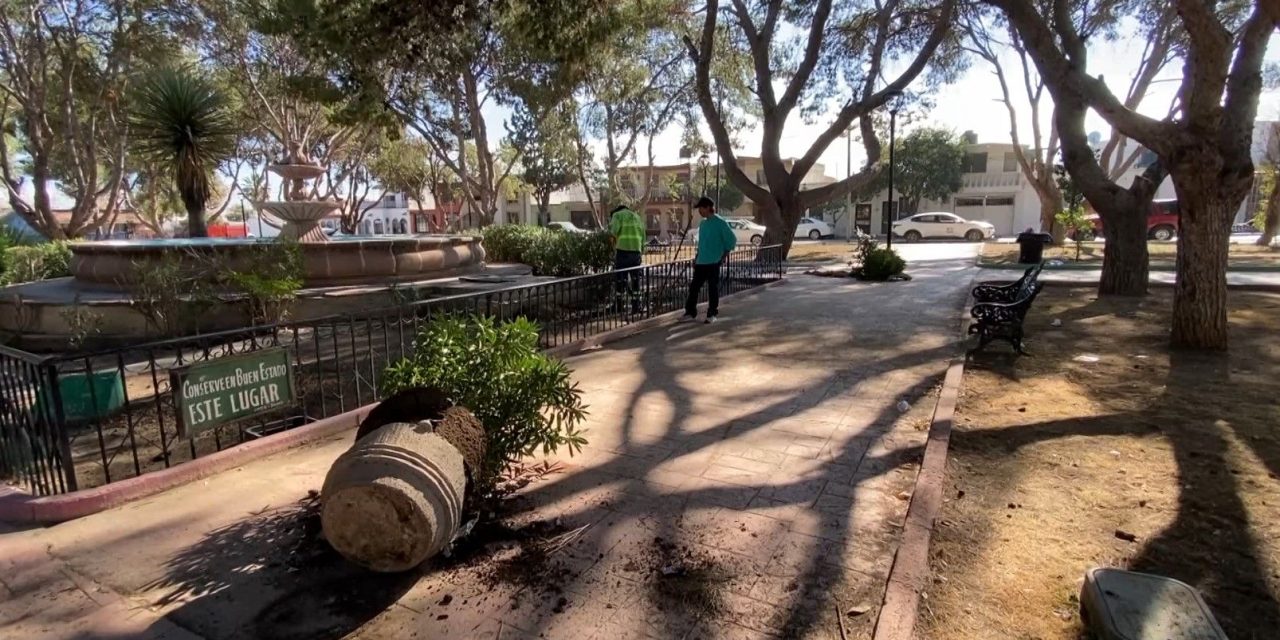 Vándalos destrozan fuente y jarrones en la plaza pública de colonia Guanajuato