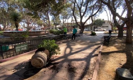 Vándalos destrozan fuente y jarrones en la plaza pública de colonia Guanajuato