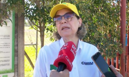 Ya hay denuncias por parte del Estado en contra de la Dirección de Bienestar Animal