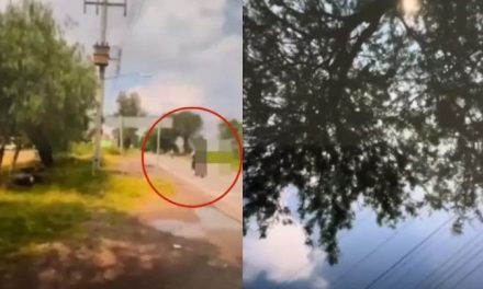 Video: ‘Cuida a mis hijos corazón, me estoy muriendo’; hombre fue atacado mientras hacía un ‘live’ en Guanajuato