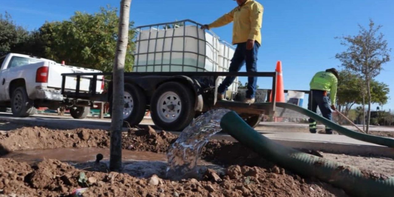 Atiende Saltillo con agua tratada áreas verdes