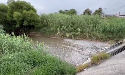 Baja incidencia de casos de dengue en 2025 hasta en un 85 por ciento