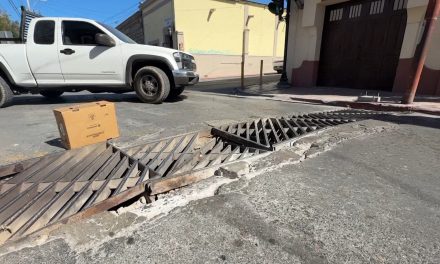 Destrozadas, rejillas en pleno Centro Histórico