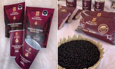 Lanza Gobierno los frijoles del Bienestar: Buscarán autosuficiencia y venta a $30 por kilo