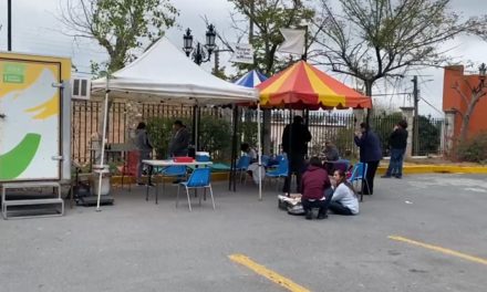 Implementa el municipio de Saltillo campaña de esterilización para gatos