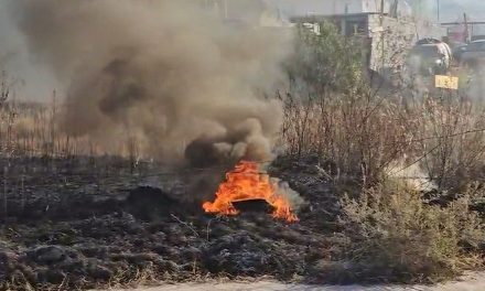 Incendio moviliza a bomberos en la colonia La Morita