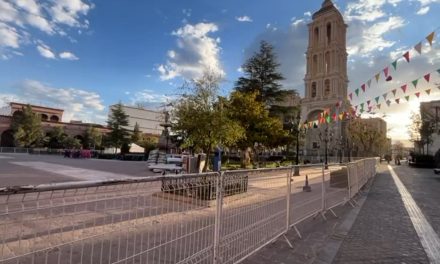 Inicia la instalación del pino monumental en la Plaza de Armas en Saltillo