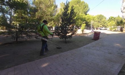 Intensifica Javier Díaz reforestación y limpieza integral en plazas públicas