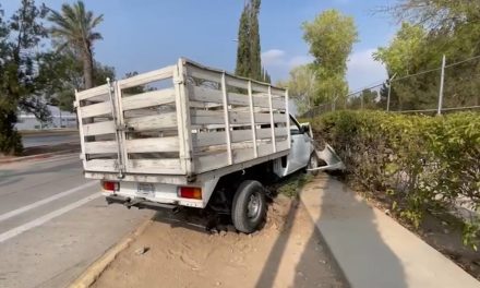 Joven derriba un árbol al perder el control de su camioneta