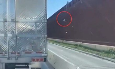 Dos mujeres migrantes resultan heridas al intentar cruzar el muro fronterizo en Tijuana (video)