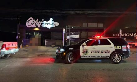 Saltillo: Multarán con un millón de pesos a bar Oklahoma por dar alcohol a un caballo