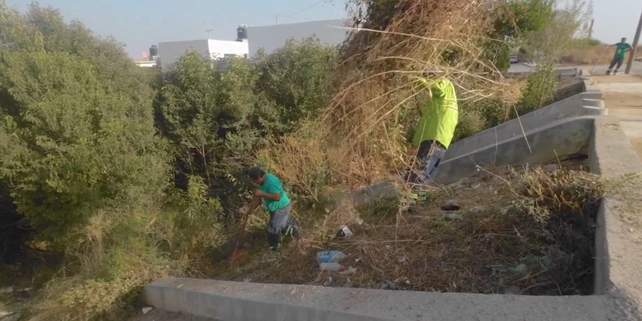 Realiza Gobierno de Saltillo jornada de limpieza en el arroyo ‘Pereyra’