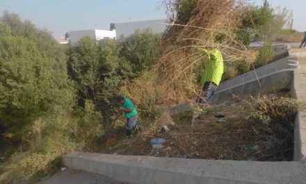 Realiza Gobierno de Saltillo jornada de limpieza en el arroyo ‘Pereyra’