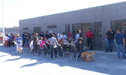 Van más de 400 esterilizaciones en las campañas gratuitas  del DIF Ramos Arizpe