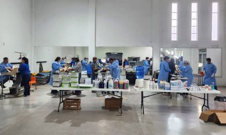 Éxito en la jornada de esterilización de 100 mascotas