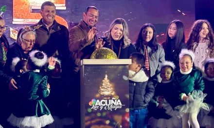 Encienden alcalde y autoridades el pino navideño