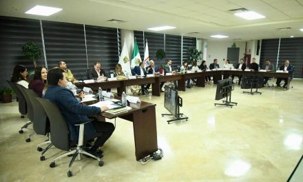 Cabildo aprueba programas en función del desarrollo y la salud