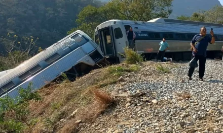 Amigo de hijo de AMLO fue proveedor del Tren Interoceánico