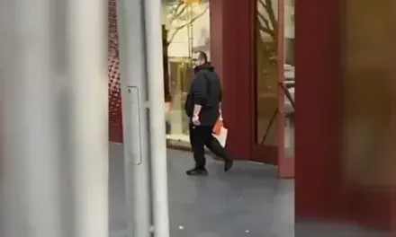 Exigen a la UIF investigar a los hijos de López Obrador