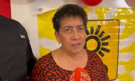 Analiza Movimiento Revolucionario Democrático trabajo en pro de las elecciones de 2026