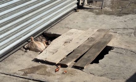 Saltillo: Banqueta en mal estado es un riesgo para los peatones