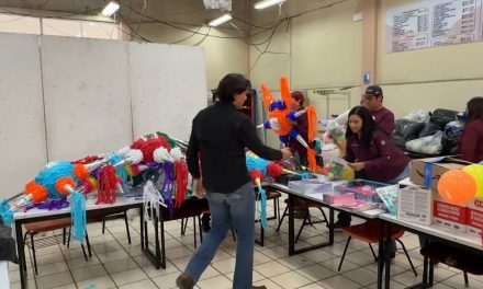 Burros pardos se unen para ayudar