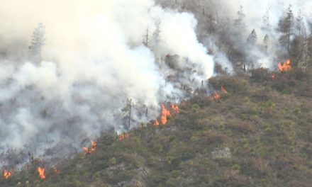 Cierra 2025 con 63 incendios forestales en Coahuila