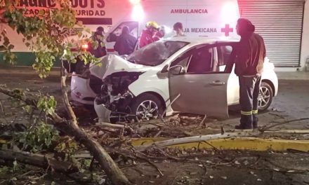 Saltillo: Deja a su amigo al borde de la muerte; automovilista se estrelló contra un árbol