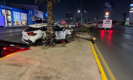 Falla mecánica provoca choque en Saltillo así como el derribo de palmeras