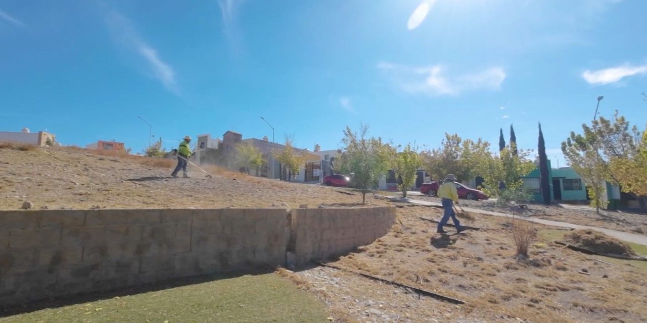 Fortalece Javier Díaz acciones de mantenimiento en plazas públicas del sur de Saltillo