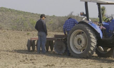 Fue un buen año para el campo en Ramos Arizpe