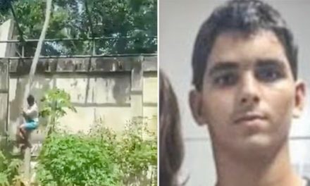 Gerson Machado era el nombre del joven que murió tras invadir la jaula de una leona en un zoológico de Brasil