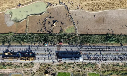 Tragedia en la India: Tren de alta velocidad embiste a una manada de elefantes; mueren siete ejemplares