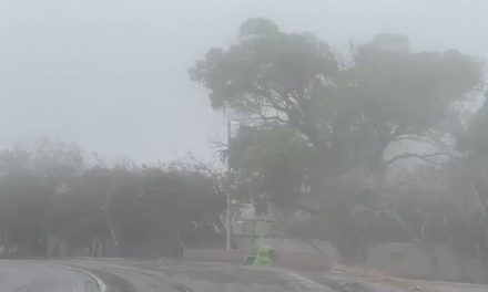 Llega este martes frente frío a Saltillo