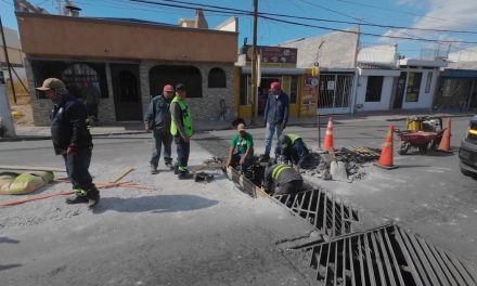 Saltillo: Repara ‘Aquí Andamos’ rejillas pluviales en el bulevar Eulalio Gutiérrez