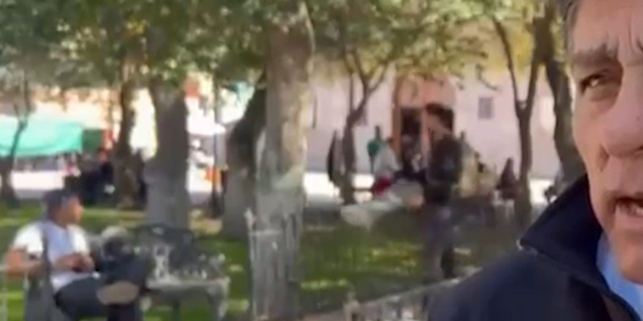Sujeto ataca a unas palomas en la  plaza San Francisco