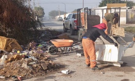 Servicios Públicos refuerza acciones de limpieza en el oriente de Torreón