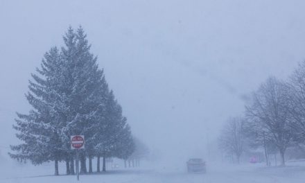 Impacta tormenta invernal a Estados Unidos