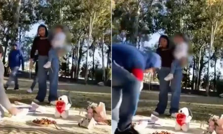 Video: Mujeres de van de picnic y terminan asaltadas en Puebla