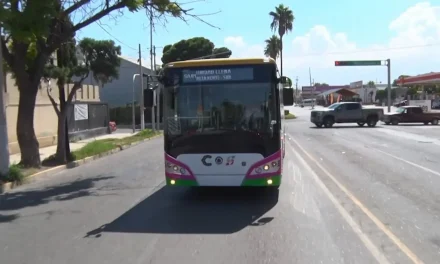 Avanza favorablemente la conexión Aquí Vamos Gratis con el campus Arteaga