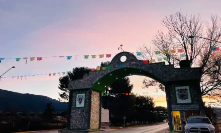 Desmienten caída de nieve en Arteaga