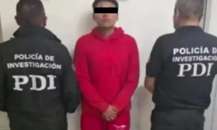 Joven asesina a ‘El Mogli’, le manda los videos a su madre por error y ella lo denuncia
